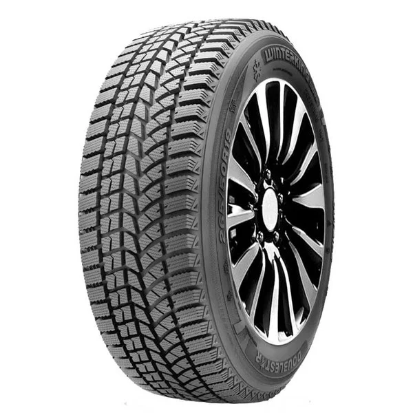 Doublestar WINTERKING DW02 235/70 R16 106T