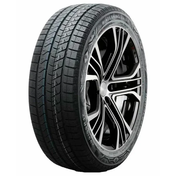 Doublestar WINTERKING DW16 205/55 R17 95T XL